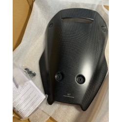 Windschild CARBON MTS-V4 DUC 96981381AA