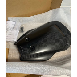 Windschild CARBON MTS-V4 DUC 96981381AA