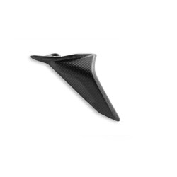 Carbon matt Kettenschutz...