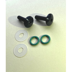 Carbon matt Kettenschutz unten für Ducati Multistrada V4