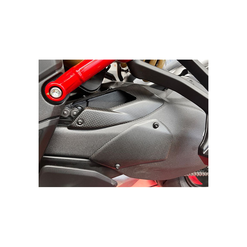 Schwingenprotektor Set Carbon für Ducati Multistrada V4 Pikes Peak / RS