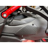 Schwingenprotektor Set Carbon für Ducati Multistrada V4 Pikes Peak / RS