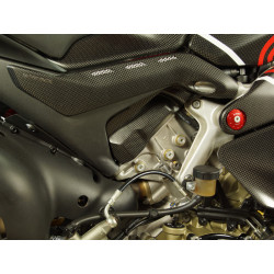 Zylinderabdeckung Carbon Ducati Panigale V4, Streetfighter V4