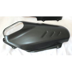 Auspuffblende Carbon Ducati Streetfighter V4 Panigale V4