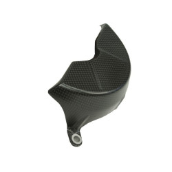 Motorschutz Carbon matt performance Ducati Panigale V4,SFV4