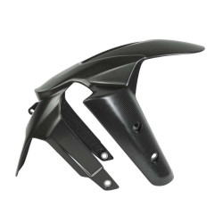 Schutzblech vorn Carbon für Ducati Multistrada V4