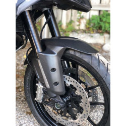 Schutzblech vorn Carbon für Ducati Multistrada V4
