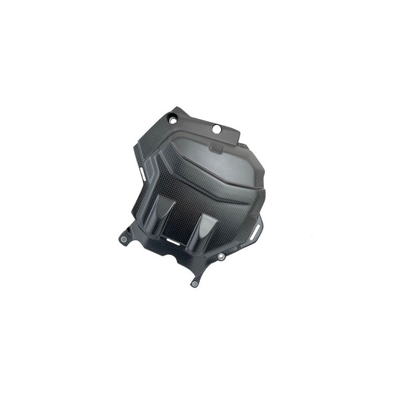 Zylinderabdeckung Carbon für Ducati Multistrada V4