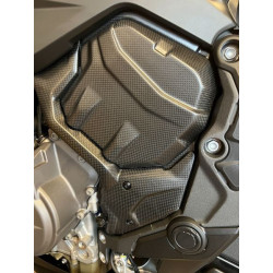 Zylinderabdeckung Carbon für Ducati Multistrada V4