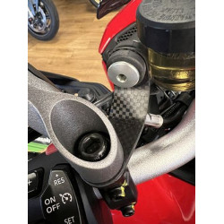 Carbonworld Behälterhalter, Carbon geeignet für Multistrada V4