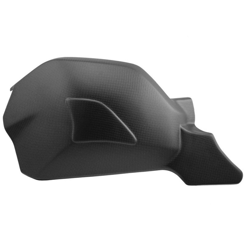 Schwingenschutz Carbon matt  für Ducati Streetfighter V4