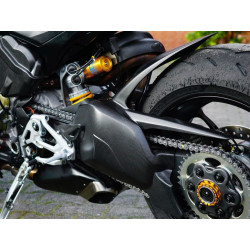Schwingenschutz Carbon matt  für Ducati Streetfighter V4