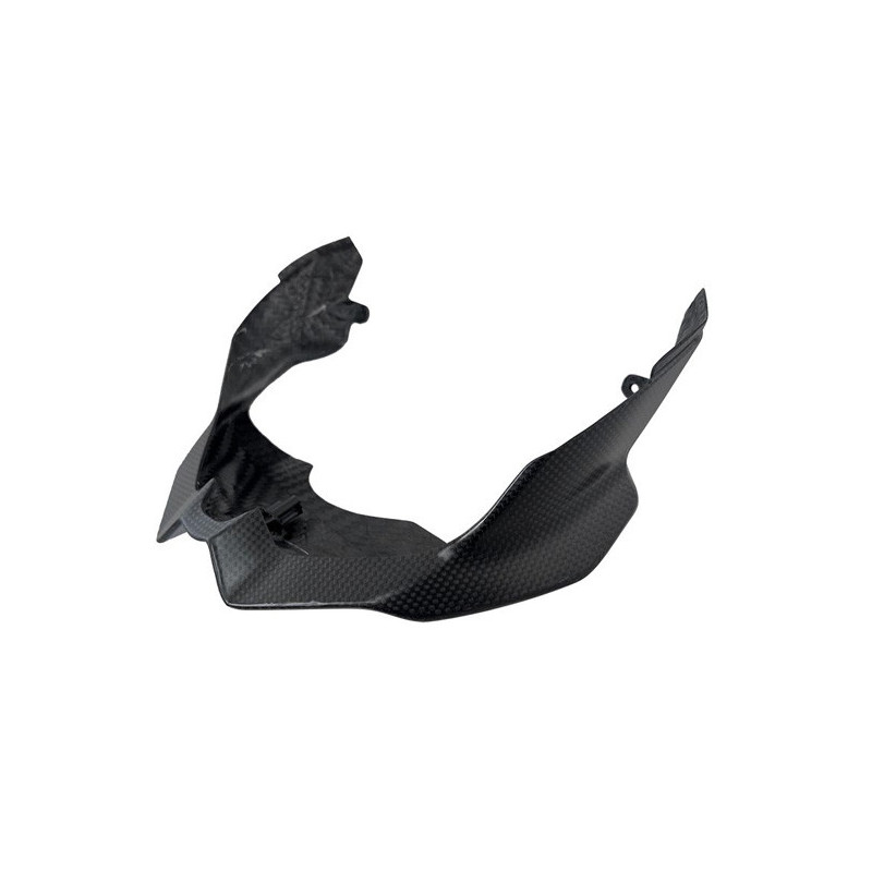 untere Lampenverkleidung Carbon Ducati Streetfighter V4 V2