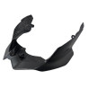 untere Lampenverkleidung Carbon Ducati Streetfighter V4 V2