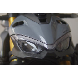untere Lampenverkleidung Carbon Ducati Streetfighter V4 V2