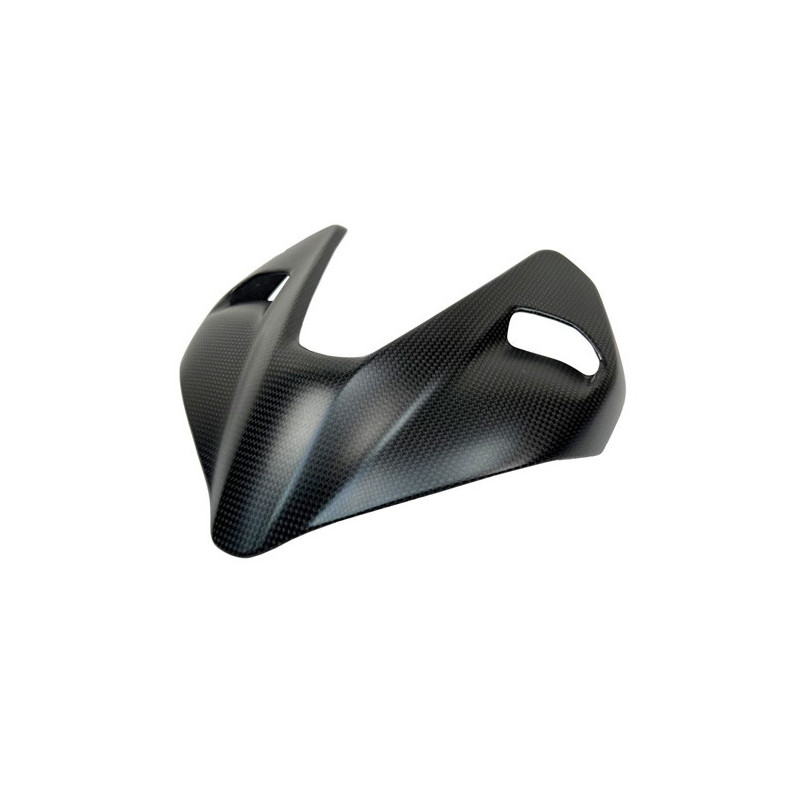 Lampenabdeckung Carbon matt Ducati Streetfighter V4 V2