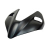 Lampenabdeckung Carbon matt Ducati Streetfighter V4 V2